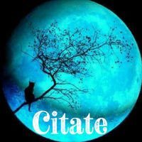 sunet original