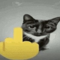 highfovv_