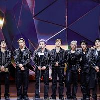 stray_kids_fan_swiss