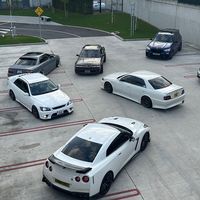 lowey.shotsnshows