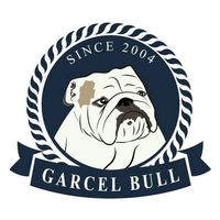 garcel_bull_bulldog