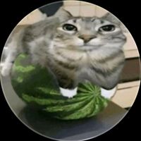 habicht_hat_2_h_