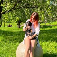 nudli_dachshund