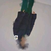 le_sang_de_la_veine