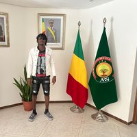 adamisilemalien