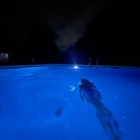 user67937273938272683