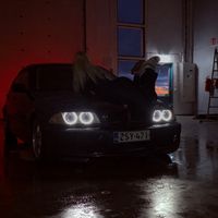 moose_07a