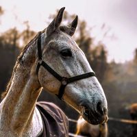 emizo0._