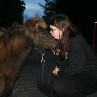 _mattilainen_