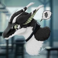 dragon._.budgies1