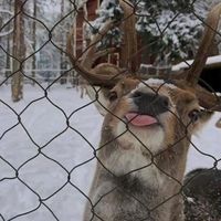 I PRES TO VSECHNO