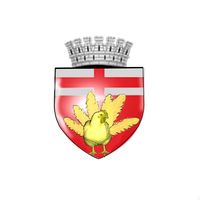botosani.ro