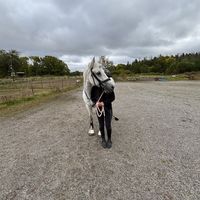 equiishania