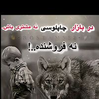 dlo___0016