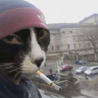 _hristinkaa_