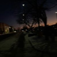 _ghxstrose0