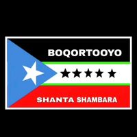 shklatina62