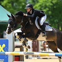 showjumping_jw