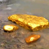 gold_mann1