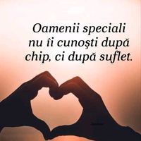 sunet original