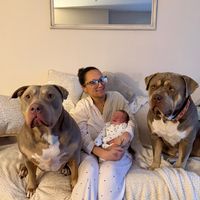 danandthebabies
