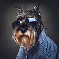 оригінальний звук