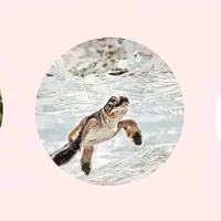 original sound - avalynne38