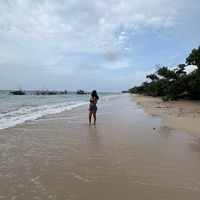 vysha._2