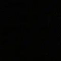 iamanonyme8