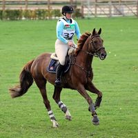 ar_horses