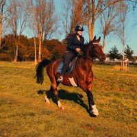 equi.aq