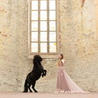 pixellponies