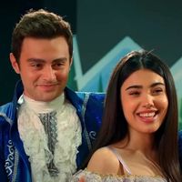 kardeslerimdizi30