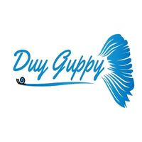 suara asli - duy_guppy