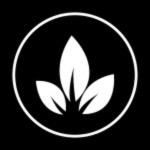 original sound - lotusactivewear