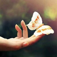 m_o_t_y_l_k_o_w_a_45