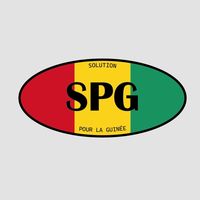 solution_pourlaguinee224