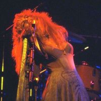 you look like stevie nicks