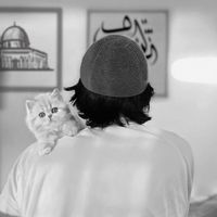 الصوت الأصلي