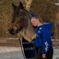 l.h.ponys