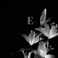 original sound - elix.edt