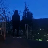 _max.30