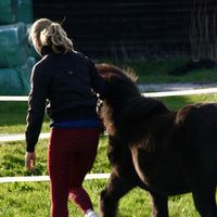 origineel geluid