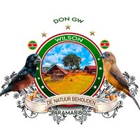 wellyngwete6