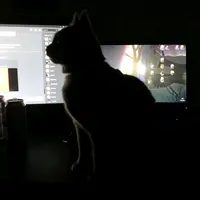 original sound - speedzj