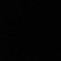 royal.marines.commando