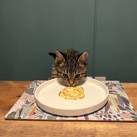pippa.nich