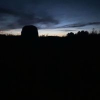 _xioxe_