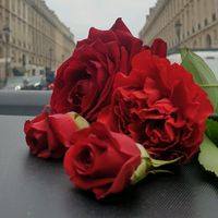 bayandjesmerfrance