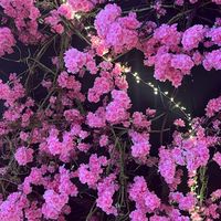 _anotherdaywithhijabi_